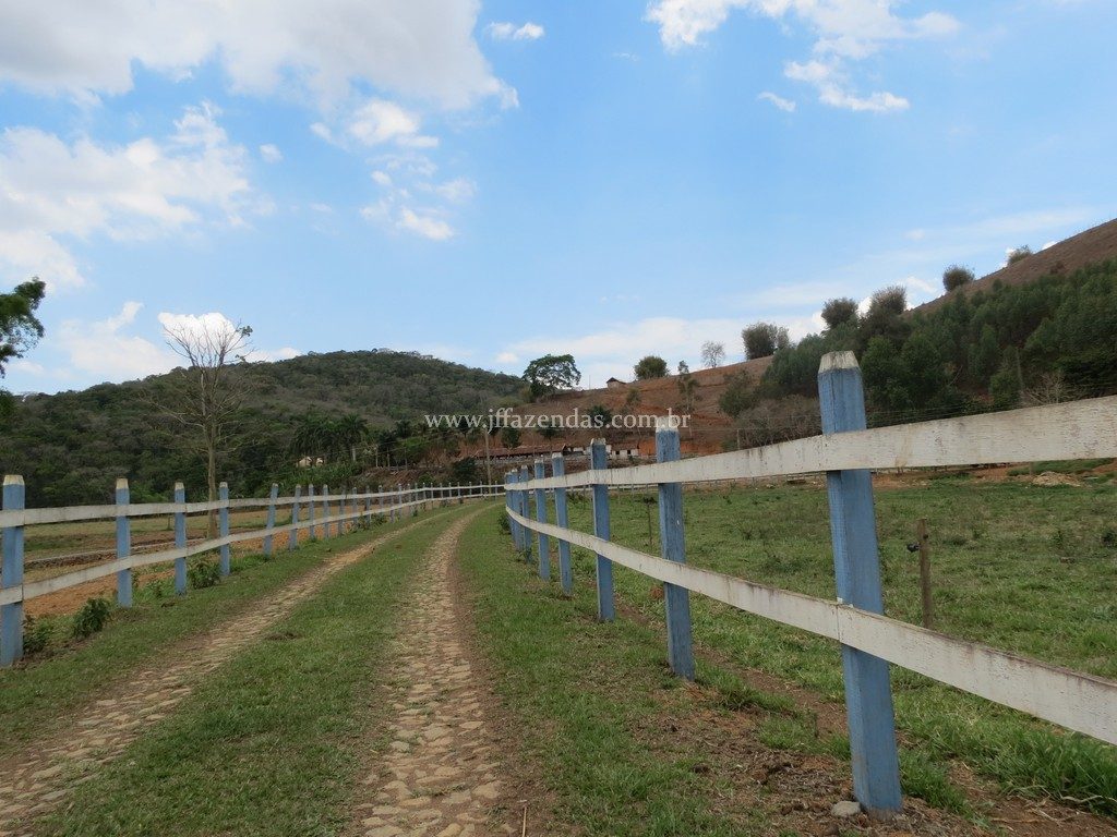 Fazenda em Piau-MG – 64 hectares Fazenda em Piau-MG – 64 hectares