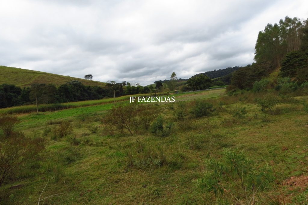 Fazenda em Piau-MG – 64 hectares Fazenda em Piau-MG – 64 hectares