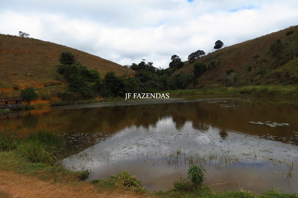 Fazenda em Piau-MG – 64 hectares Fazenda em Piau-MG – 64 hectares