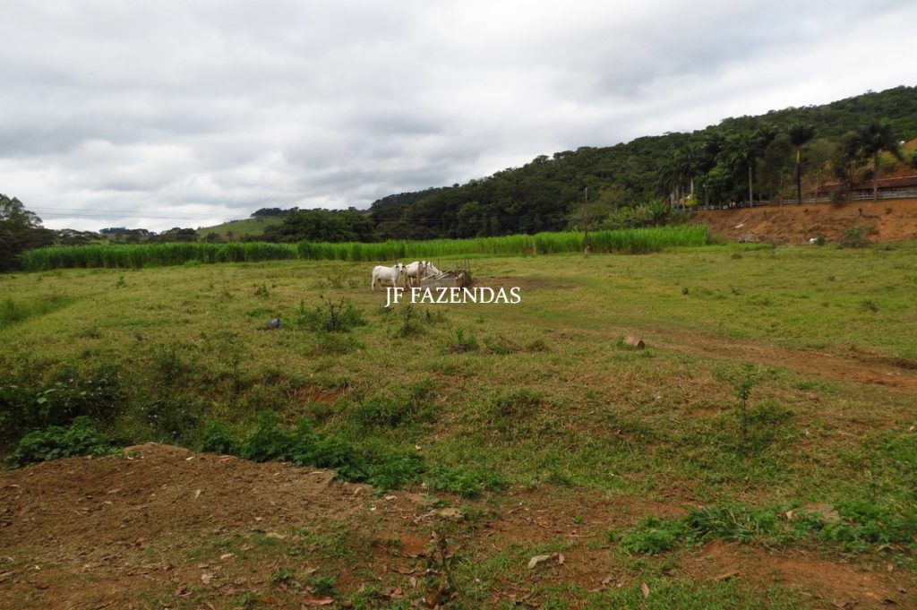 Fazenda em Piau-MG – 64 hectares Fazenda em Piau-MG – 64 hectares