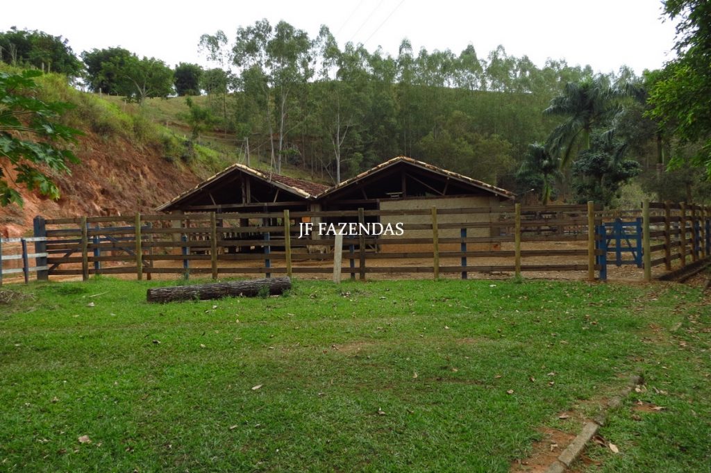 Fazenda em Piau-MG – 64 hectares Fazenda em Piau-MG – 64 hectares