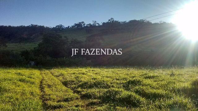Sítio em Rio Novo -MG – 42 hectares Sítio em Rio Novo -MG – 42 hectares