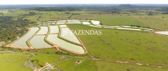 Fazenda em Ariquemes/RO – 800 hectares Fazenda em Ariquemes/RO – 800 hectares