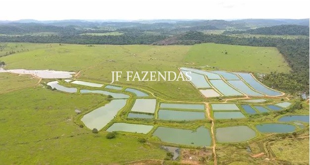 Fazenda em Ariquemes/RO – 800 hectares