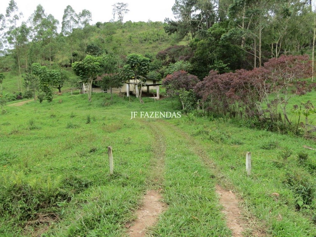 Sítio em Juiz de Fora- MG – 36 hectares Sítio em Juiz de Fora- MG – 36 hectares