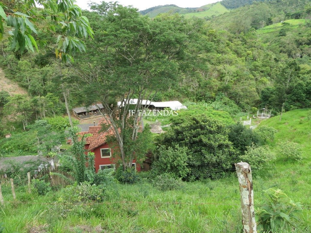 Sítio em Juiz de Fora- MG – 36 hectares Sítio em Juiz de Fora- MG – 36 hectares