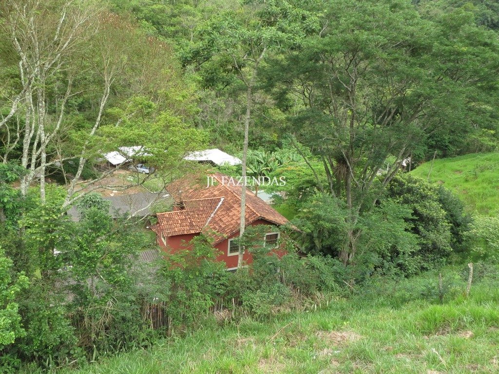 Sítio em Juiz de Fora- MG – 36 hectares Sítio em Juiz de Fora- MG – 36 hectares
