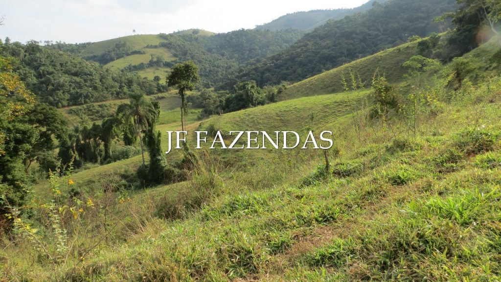 Fazenda em São José de Três Ilhas -MG – 617 hectares