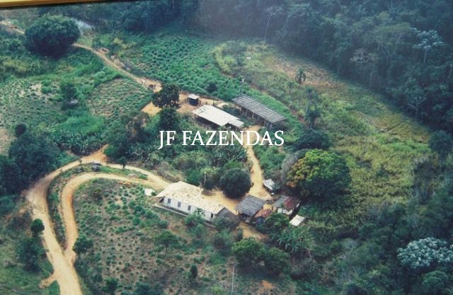Fazenda em Juiz de Fora-MG – 194 hectares Fazenda em Juiz de Fora-MG – 194 hectares