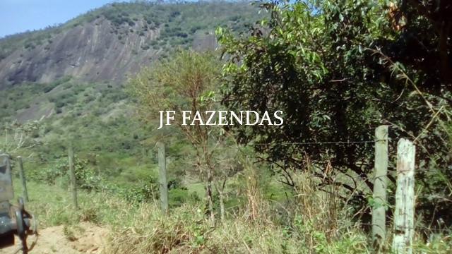 Fazenda em Estrela Dalva – MG – 1321,32 hectares Fazenda em Estrela Dalva – MG – 1321,32 hectares