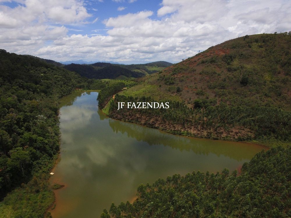 Fazenda de alto padrão em Leopoldina-MG – 165 hectares Fazenda de alto padrão em Leopoldina-MG – 165 hectares