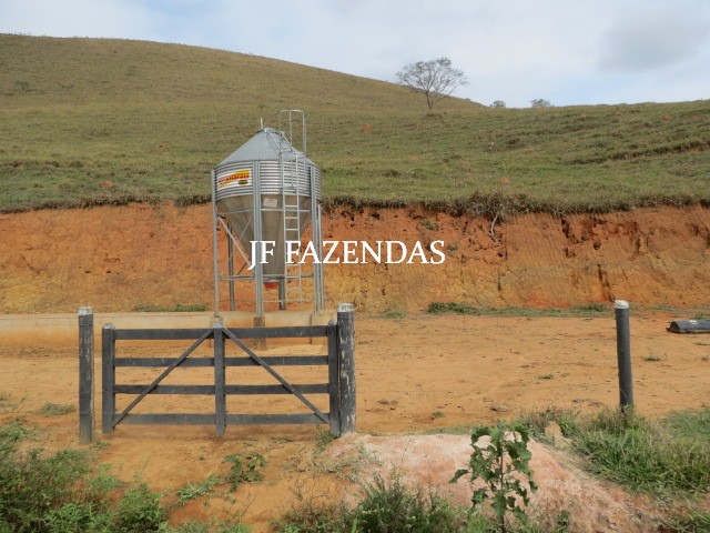 Fazenda em Juiz de Fora-MG – 93.6 hectares