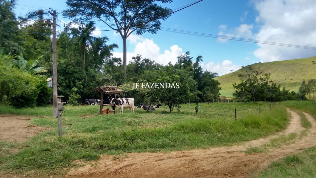 Fazenda em Belmiro Braga-MG – 177 hectares Fazenda em Belmiro Braga-MG – 177 hectares