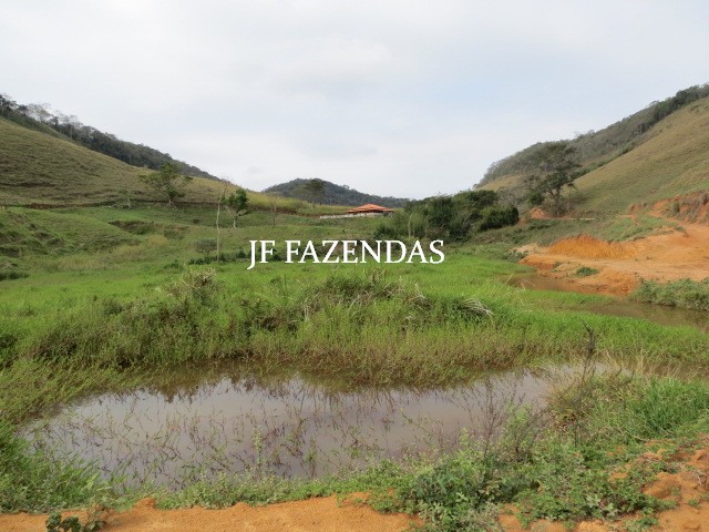 Fazenda em Juiz de Fora-MG – 93.6 hectares