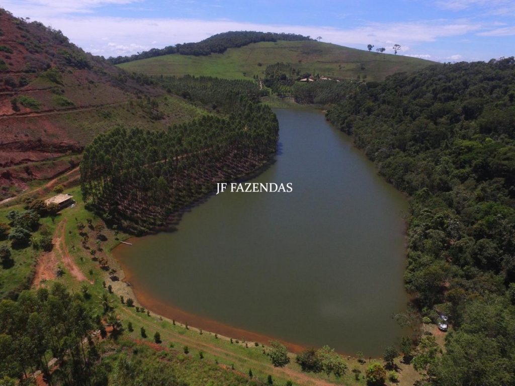 Fazenda de alto padrão em Leopoldina-MG – 165 hectares Fazenda de alto padrão em Leopoldina-MG – 165 hectares