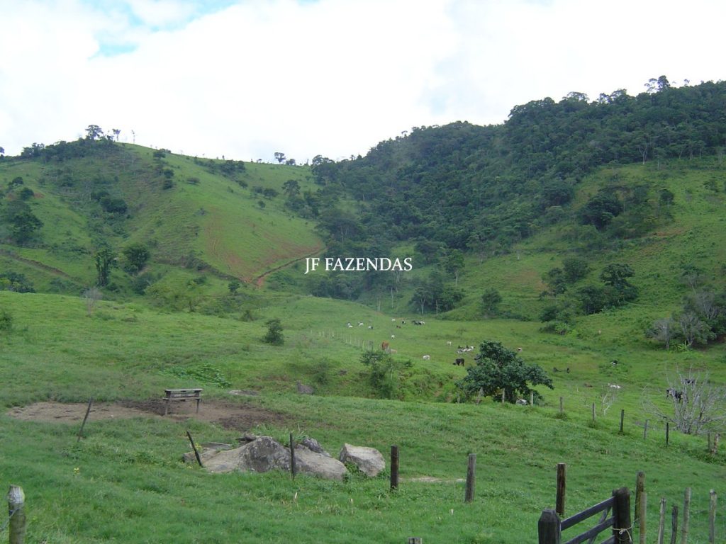 Fazenda em Leopoldina – MG – 145,20 hectares Fazenda em Leopoldina – MG – 145,20 hectares