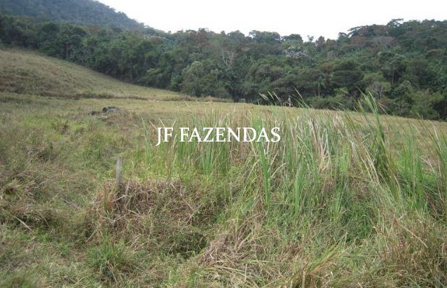 Fazenda em Juiz de Fora-MG – 194 hectares Fazenda em Juiz de Fora-MG – 194 hectares