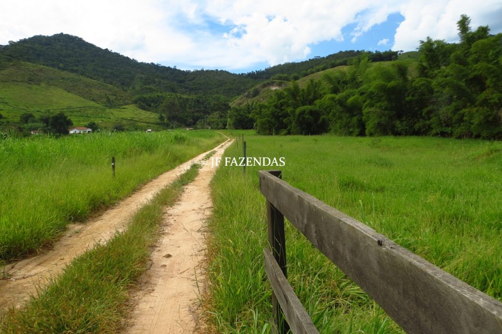 Fazenda em Belmiro Braga-MG – 177 hectares Fazenda em Belmiro Braga-MG – 177 hectares
