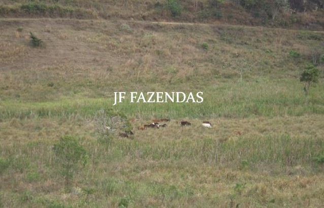 Fazenda em Juiz de Fora-MG – 194 hectares Fazenda em Juiz de Fora-MG – 194 hectares