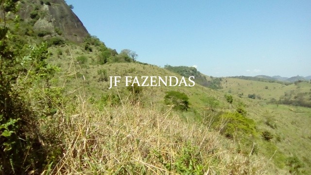Fazenda em Estrela Dalva – MG – 1321,32 hectares Fazenda em Estrela Dalva – MG – 1321,32 hectares