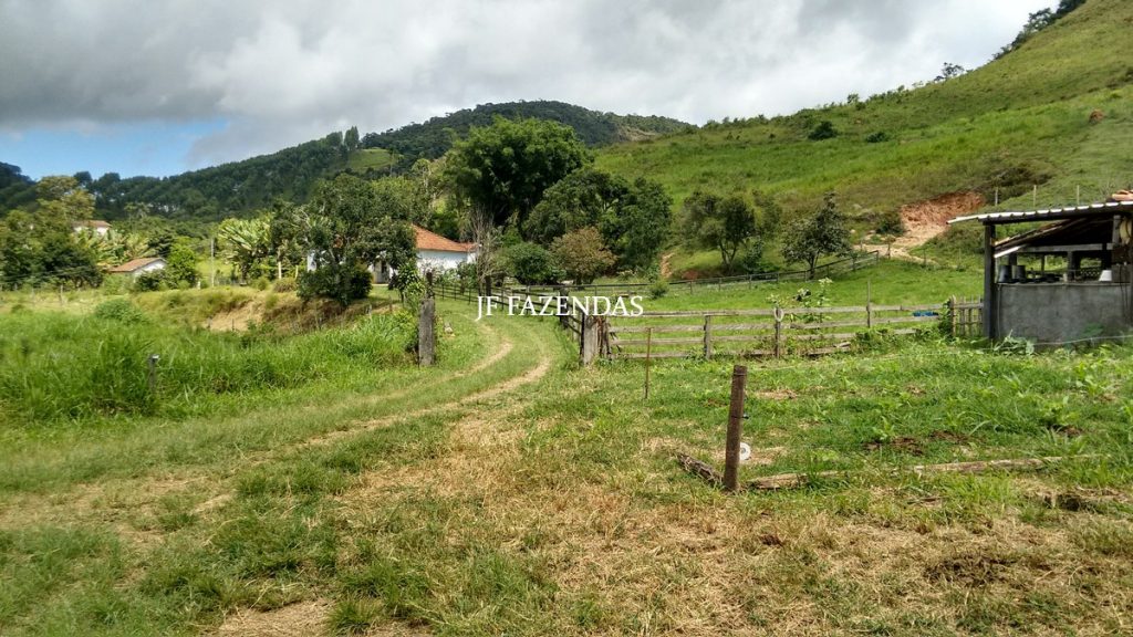 Fazenda em Belmiro Braga-MG – 177 hectares Fazenda em Belmiro Braga-MG – 177 hectares