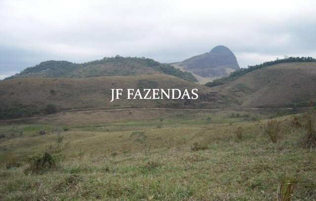 Fazenda em Juiz de Fora-MG – 194 hectares Fazenda em Juiz de Fora-MG – 194 hectares