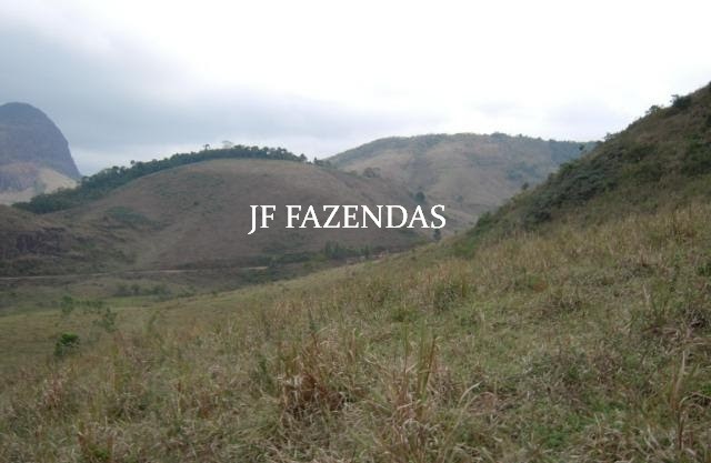 Fazenda em Juiz de Fora-MG – 194 hectares Fazenda em Juiz de Fora-MG – 194 hectares