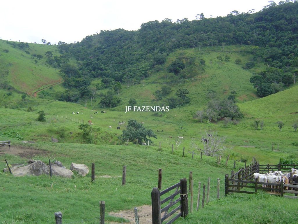 Fazenda em Leopoldina – MG – 145,20 hectares Fazenda em Leopoldina – MG – 145,20 hectares