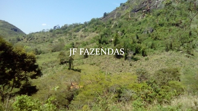 Fazenda em Estrela Dalva – MG – 1321,32 hectares Fazenda em Estrela Dalva – MG – 1321,32 hectares