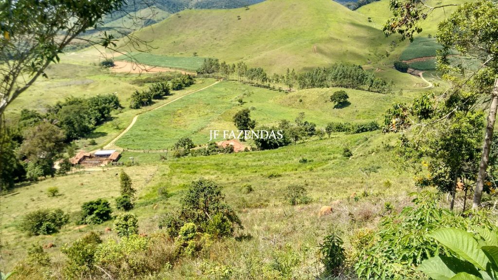 Fazenda em Belmiro Braga-MG – 177 hectares Fazenda em Belmiro Braga-MG – 177 hectares