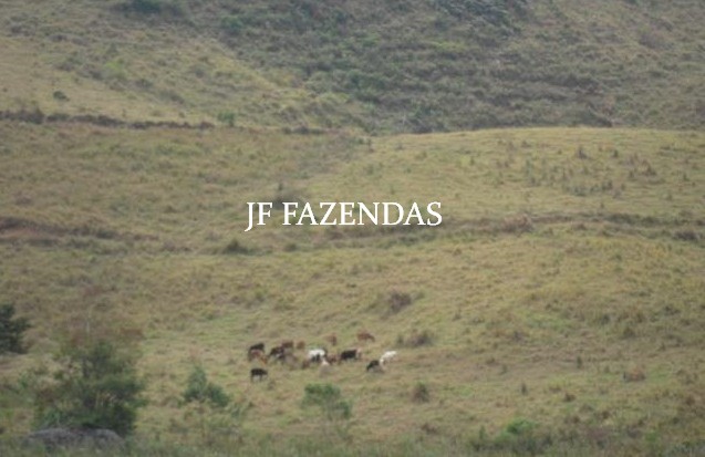 Fazenda em Juiz de Fora-MG – 194 hectares Fazenda em Juiz de Fora-MG – 194 hectares