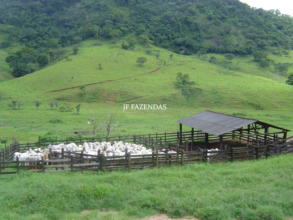 Fazenda em Leopoldina – MG – 145,20 hectares Fazenda em Leopoldina – MG – 145,20 hectares