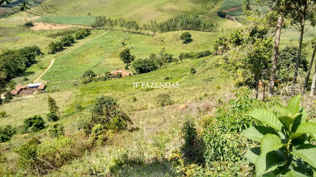 Fazenda em Belmiro Braga-MG – 177 hectares Fazenda em Belmiro Braga-MG – 177 hectares