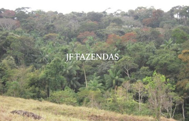 Fazenda em Juiz de Fora-MG – 194 hectares Fazenda em Juiz de Fora-MG – 194 hectares