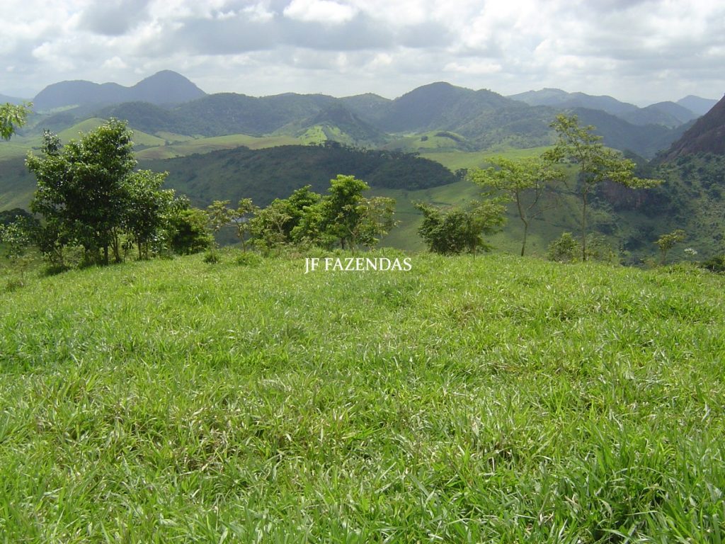 Fazenda em Leopoldina – MG – 145,20 hectares Fazenda em Leopoldina – MG – 145,20 hectares