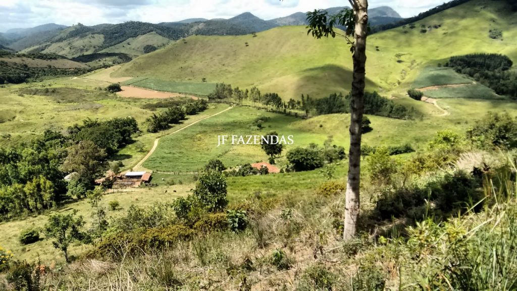 Fazenda em Belmiro Braga-MG – 177 hectares Fazenda em Belmiro Braga-MG – 177 hectares