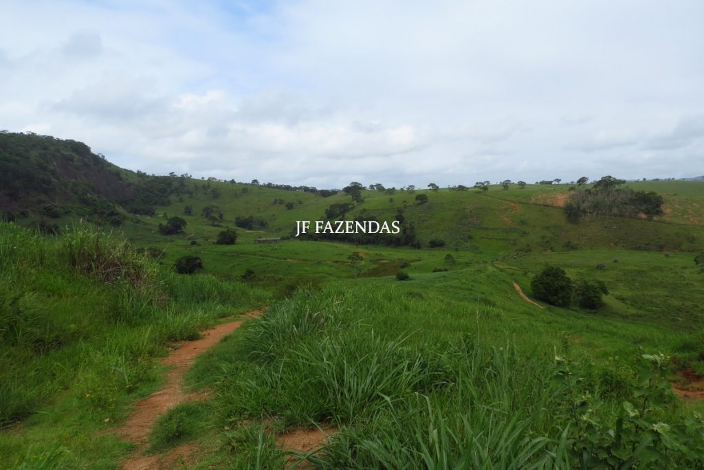 Fazenda em Leopoldina – MG – 145,20 hectares Fazenda em Leopoldina – MG – 145,20 hectares