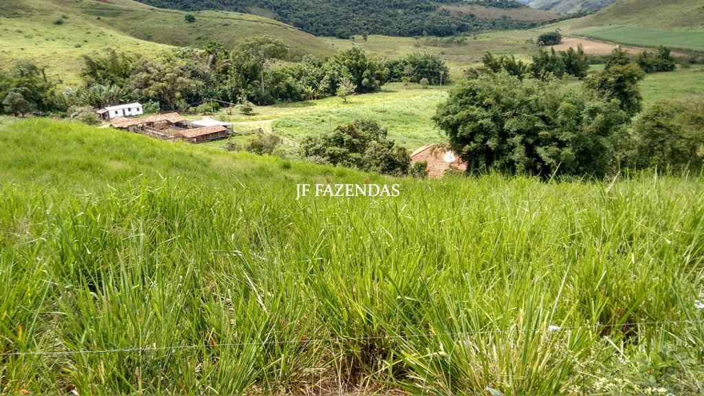 Fazenda em Belmiro Braga-MG – 177 hectares Fazenda em Belmiro Braga-MG – 177 hectares