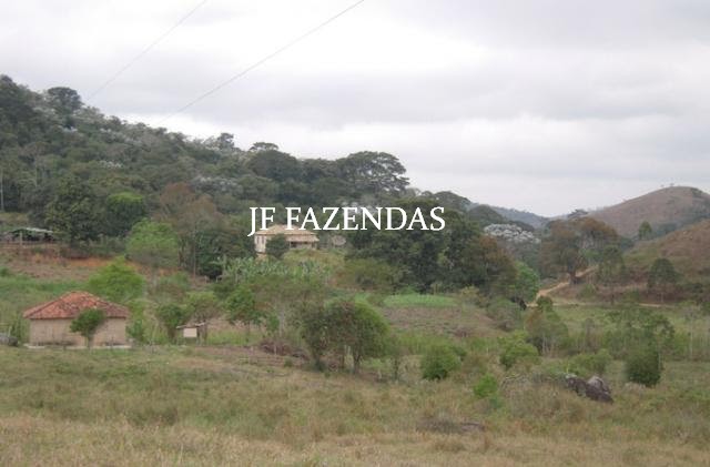 Fazenda em Juiz de Fora-MG – 194 hectares Fazenda em Juiz de Fora-MG – 194 hectares