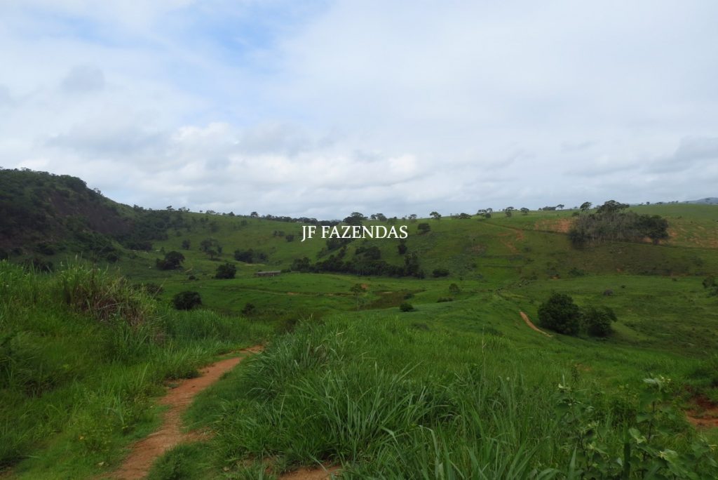 Fazenda em Leopoldina – MG – 145,20 hectares Fazenda em Leopoldina – MG – 145,20 hectares