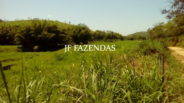 Fazenda em Estrela Dalva – MG – 1321,32 hectares Fazenda em Estrela Dalva – MG – 1321,32 hectares