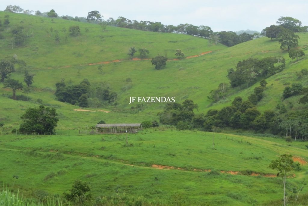 Fazenda em Leopoldina – MG – 145,20 hectares Fazenda em Leopoldina – MG – 145,20 hectares