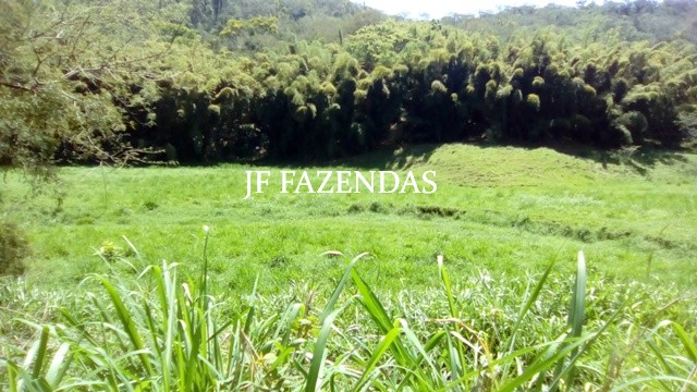Fazenda em Estrela Dalva – MG – 1321,32 hectares Fazenda em Estrela Dalva – MG – 1321,32 hectares