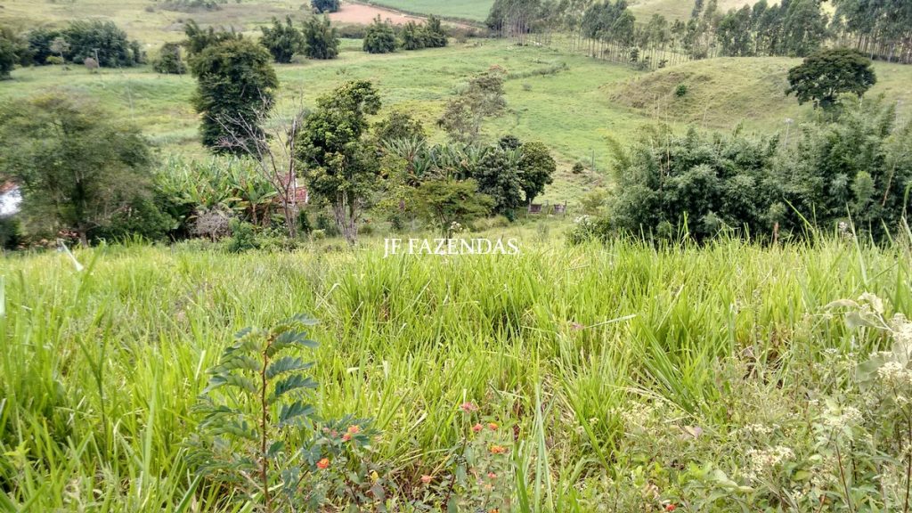 Fazenda em Belmiro Braga-MG – 177 hectares Fazenda em Belmiro Braga-MG – 177 hectares