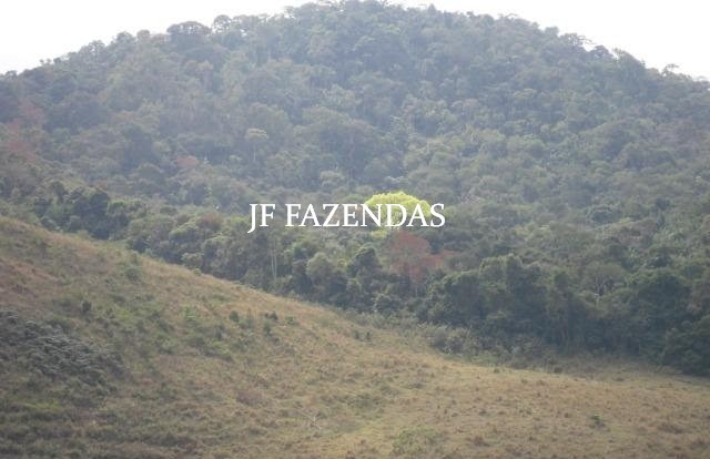 Fazenda em Juiz de Fora-MG – 194 hectares Fazenda em Juiz de Fora-MG – 194 hectares