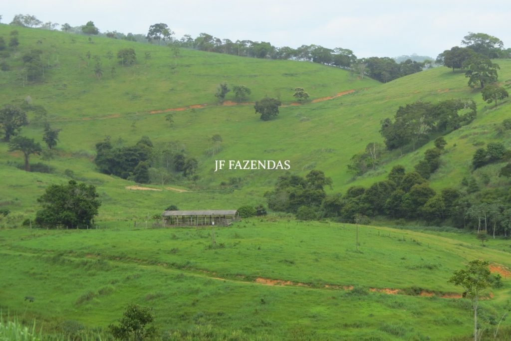 Fazenda em Leopoldina – MG – 145,20 hectares Fazenda em Leopoldina – MG – 145,20 hectares