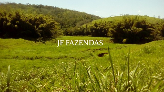 Fazenda em Estrela Dalva – MG – 1321,32 hectares Fazenda em Estrela Dalva – MG – 1321,32 hectares