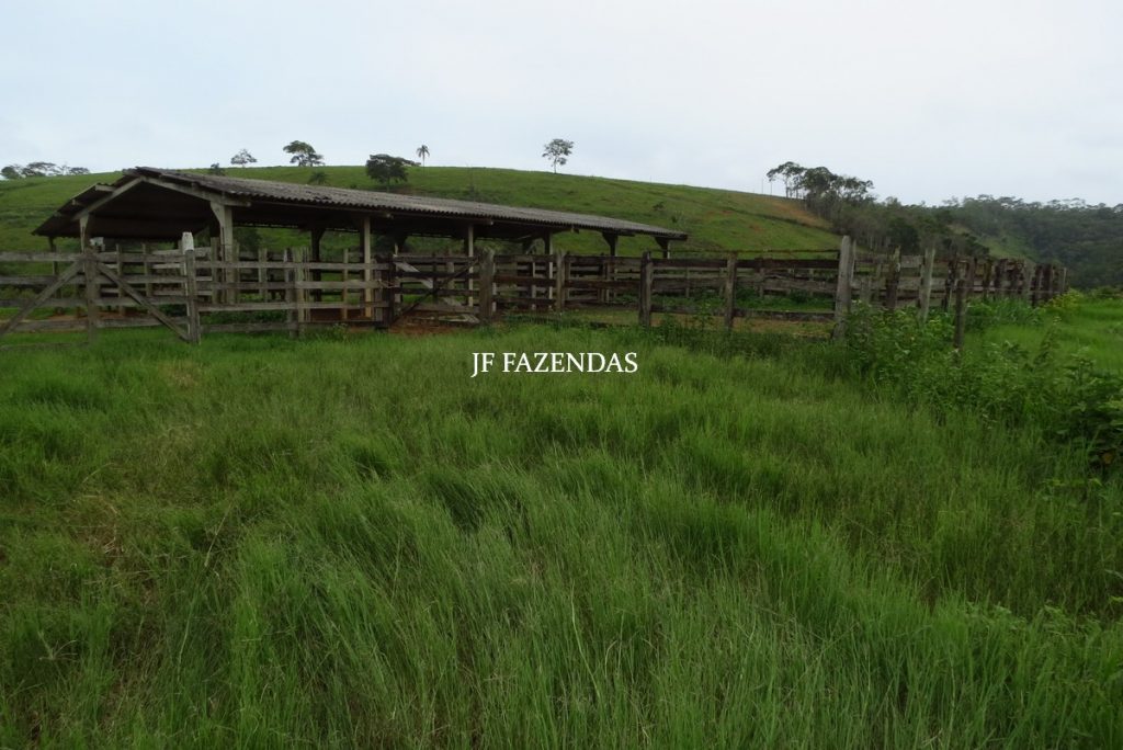 Fazenda em Leopoldina – MG – 145,20 hectares Fazenda em Leopoldina – MG – 145,20 hectares