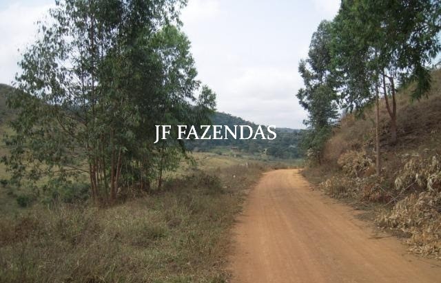 Fazenda em Juiz de Fora-MG – 194 hectares Fazenda em Juiz de Fora-MG – 194 hectares