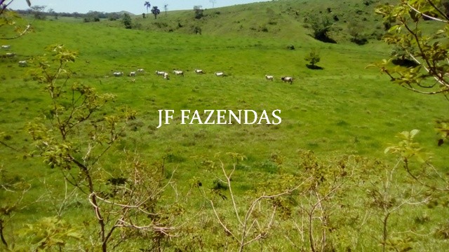 Fazenda em Estrela Dalva – MG – 1321,32 hectares Fazenda em Estrela Dalva – MG – 1321,32 hectares